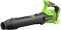 Greenworks Soffiatore a Batteria 24V, Motore Brushless, 14,58 m³/min, 209 km/h, Tecnologia Silenziosa, Controllo Velocità
