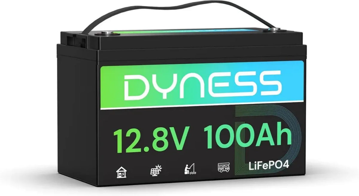 Dyness Batteria Litio 12V 100Ah LiFePO4 Profonda con BMS, Protezione Anti-congelamento, 15000 Cicli, per Camper e Sistemi Solari